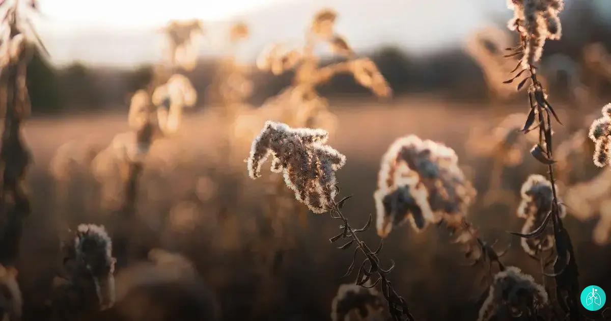 Práticas de respiração consciente para equilíbrio emocional